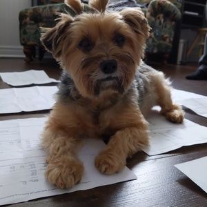 Meet your Posher, Hannah